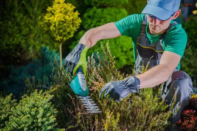 landscaping services Marlborough
